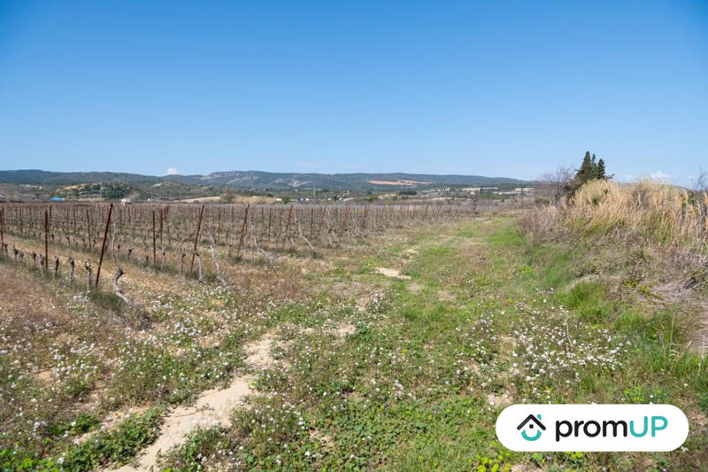 Terrain agricole - 41 115 m²