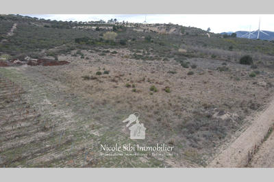 Terrain - 36 630 m²