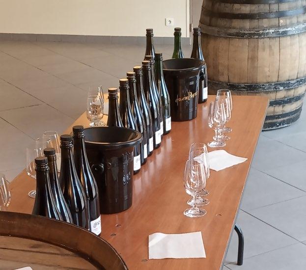 Champagne Braconnier Baudot