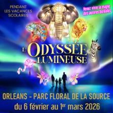 L'Odyssée Lumineuse - Orléans - Billet Daté