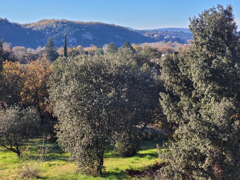 Terrain constructible - 1 000 m²