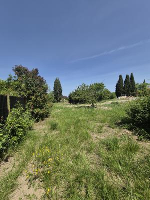 Terrain - 267 m²
