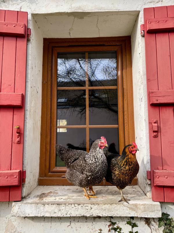 Maison - 215 m² - 7 pièces