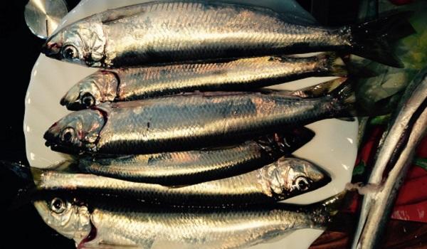 Soirée Harengs ou Côte de Porc