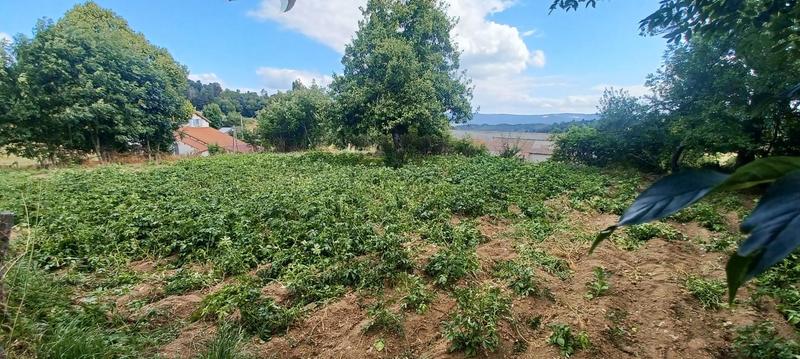 Maison - 80 m² - 5 pièces