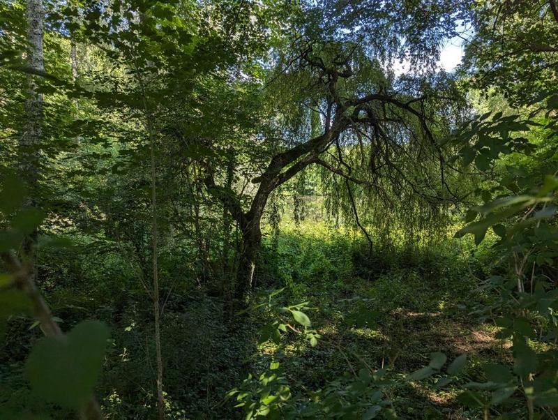 Manoir - 410 m² - 10 pièces