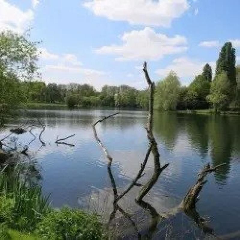 Appartement - 81 m² - 5 pièces