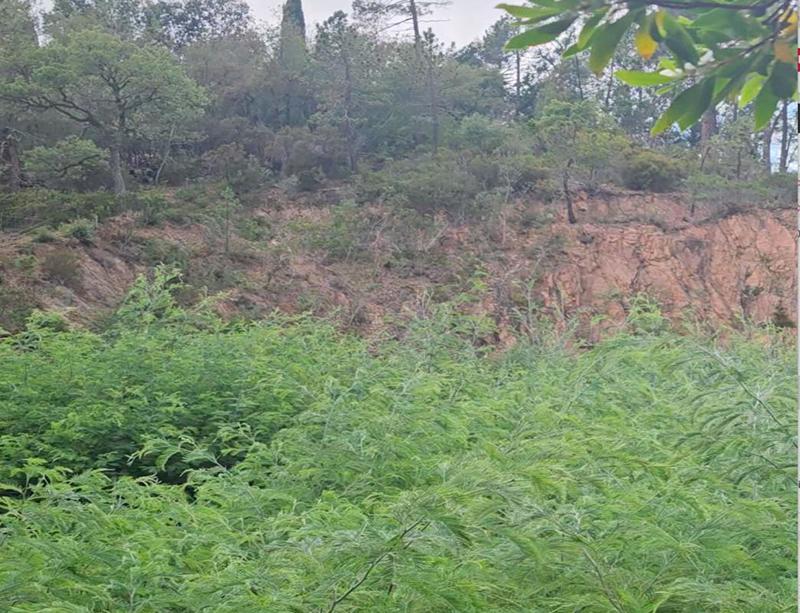 Terrain constructible - 21 850 m²