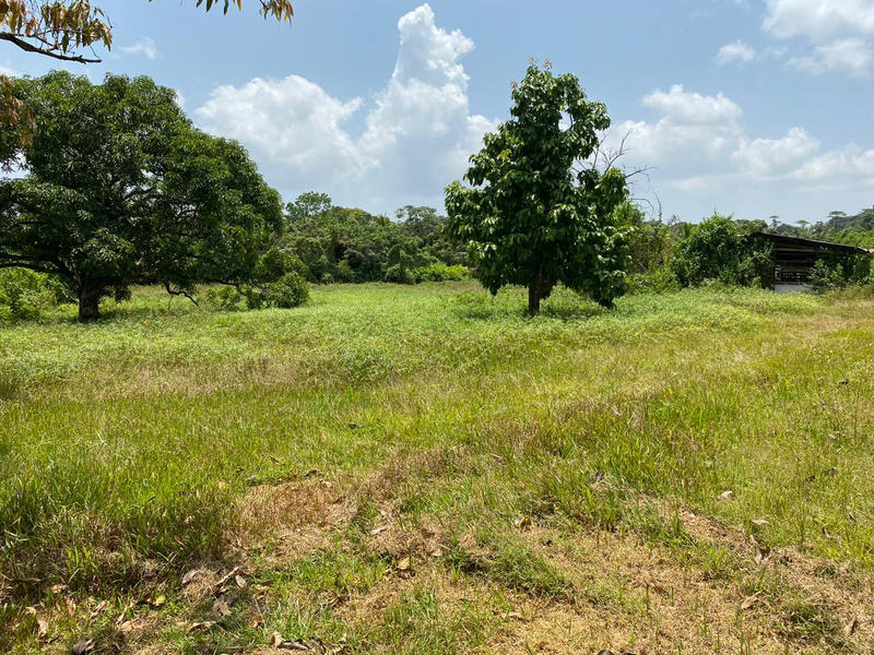 Terrain agricole - 62 539 m²