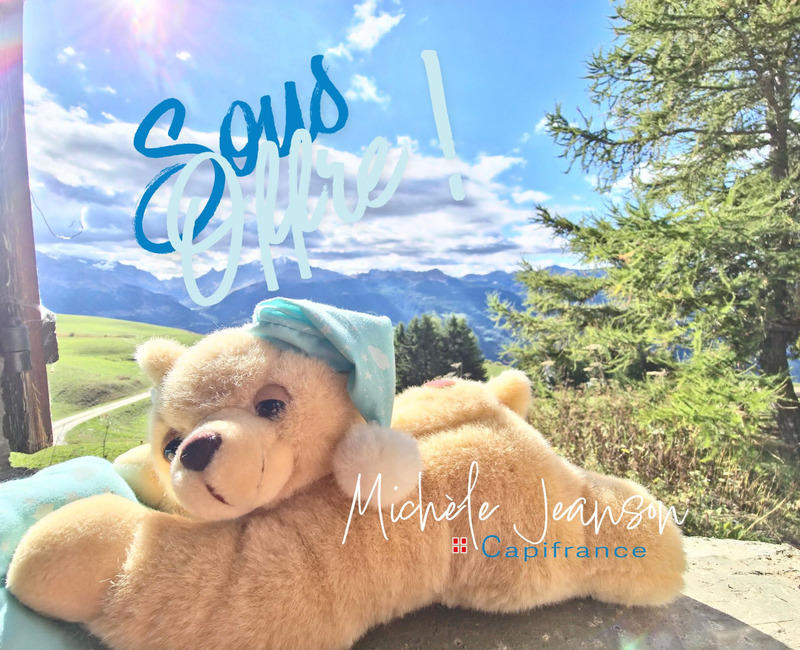 Châlet - 60 m² - 3 pièces