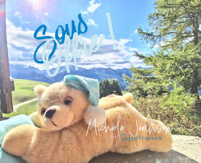 Châlet - 60 m² - 3 pièces