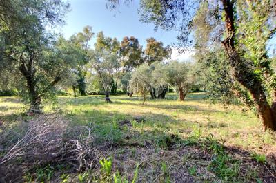 Terrain constructible - 2 000 m²