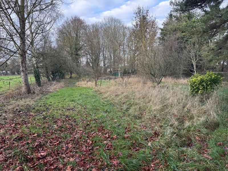 Terrain constructible - 20 232 m²