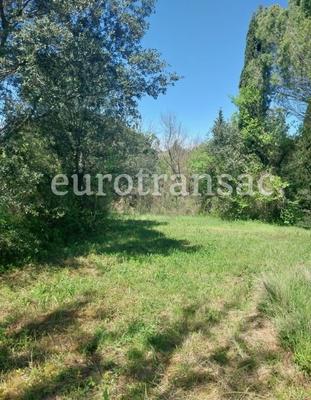 Terrain agricole - 11 480 m²