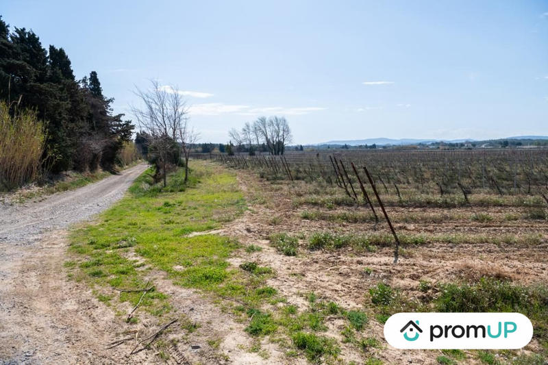 Terrain agricole - 41 115 m²