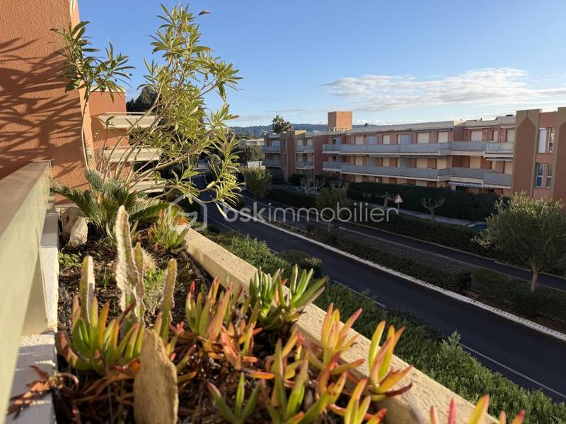 Studio - 17 m² - 1 pièce