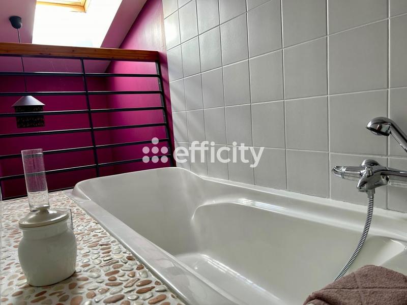 Maison - 372 m² - 11 pièces