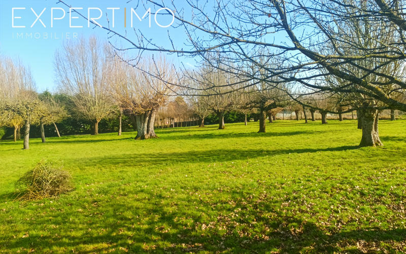 Maison - 200 m² - 6 pièces