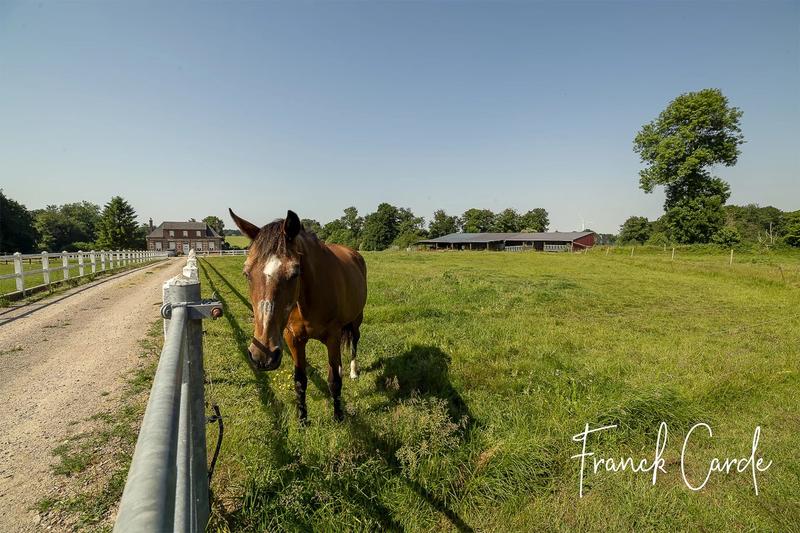 Maison - 135 m² - 7 pièces