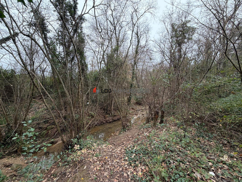 Terrain agricole - 17 246 m²