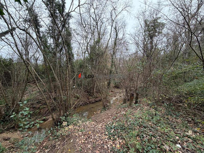 Terrain agricole - 17 246 m²