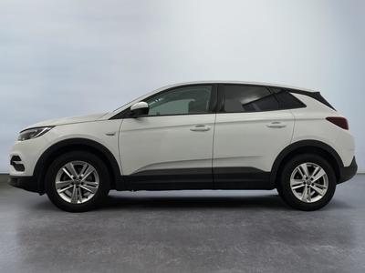 Opel Grandland X Business 1.5 Diesel 130 ch Edition