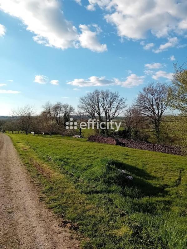 Terrain - 1 649 m²
