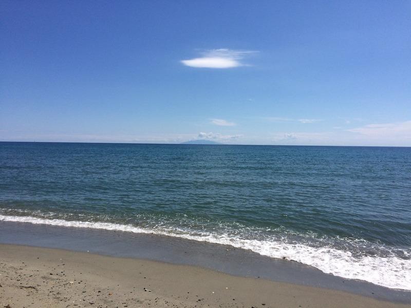 Maison - 31 m² - 2 pièces