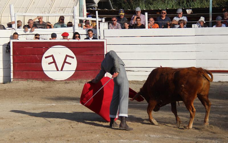 Fiesta Campera Lou Fourmigo