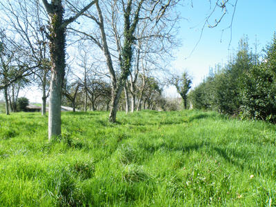 Terrain - 1 223 m²