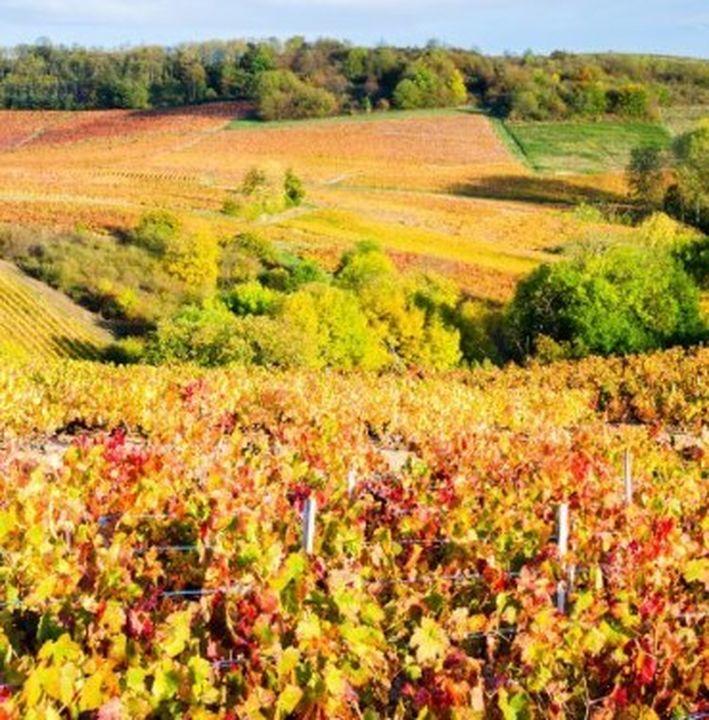 Appartement - 79 m² - 4 pièces