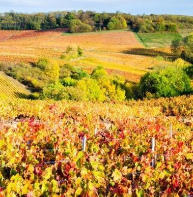 Appartement - 79 m² - 4 pièces