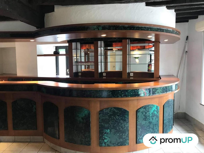 Maison - 295 m² - 9 pièces