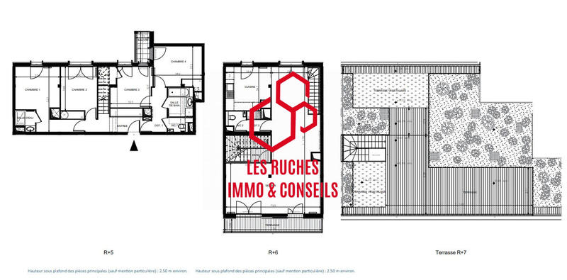 Appartement - 147 m² - 5 pièces