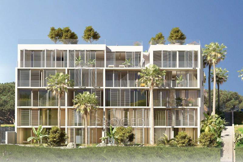 Appartement - 50 m² - 2 pièces