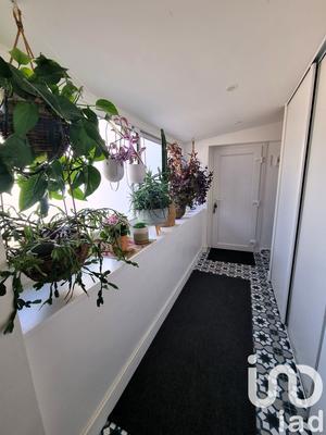 Appartement - 145 m² - 5 pièces