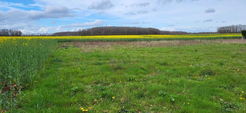 Terrain constructible - 2 400 m²