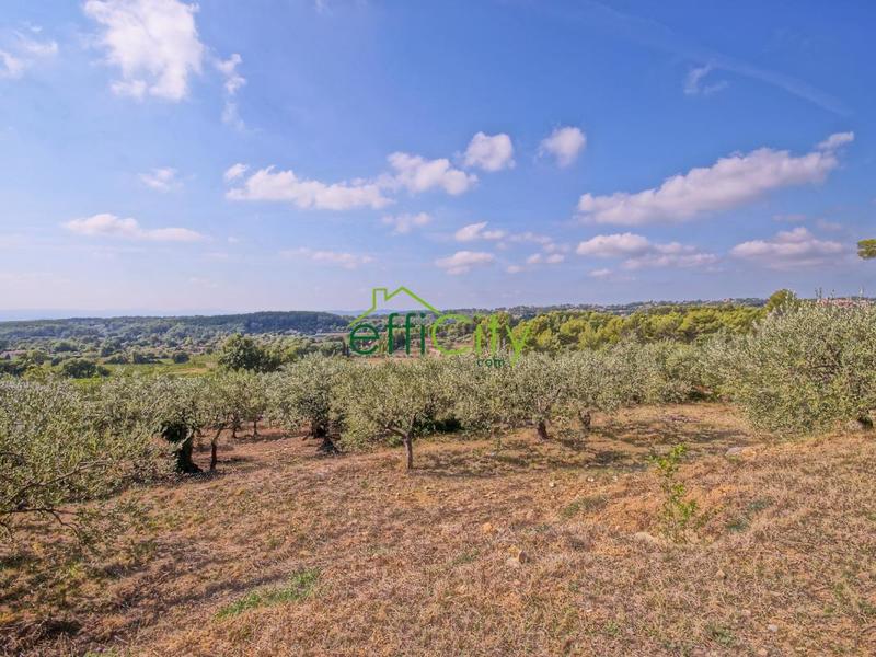 Maison - 260 m² - 7 pièces