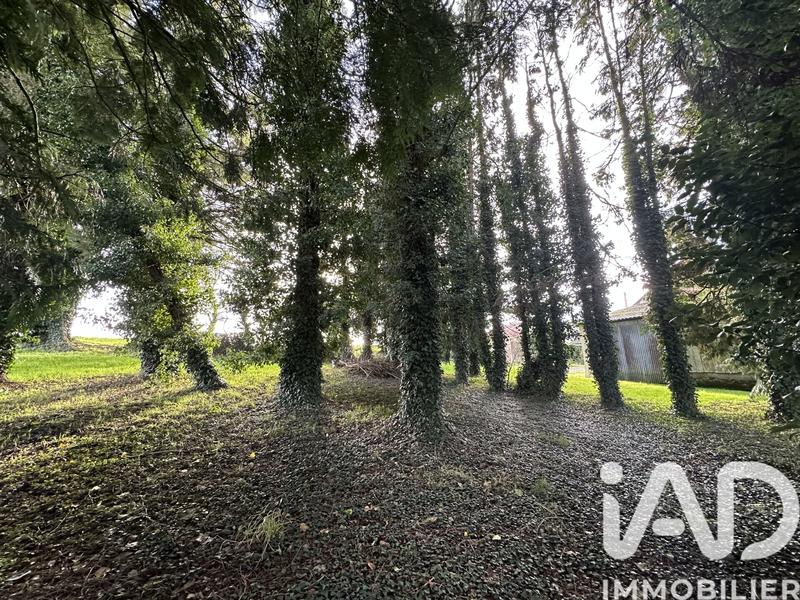 Maison - 132 m² - 5 pièces