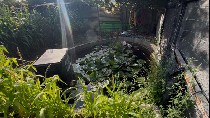 Maison - 161 m² - 9 pièces