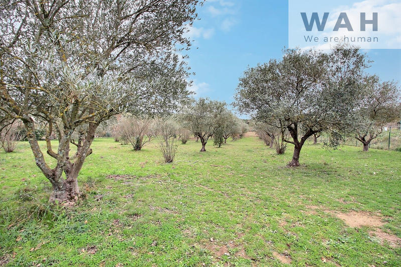 Maison - 143 m² - 7 pièces