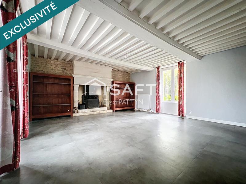 Maison de maîtres - 367 m² - 11 pièces