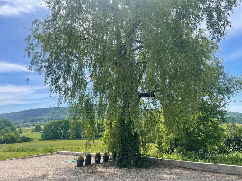 Duplex - 140 m² - 6 pièces