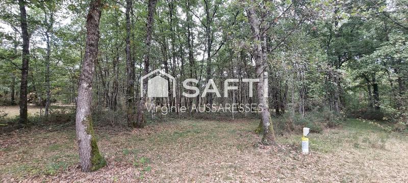 Local commercial - 100 m² - 12 pièces