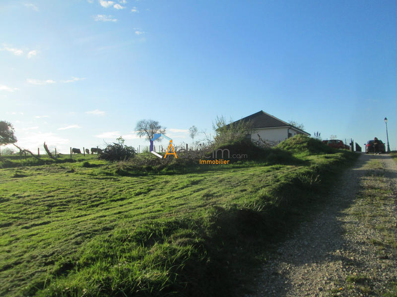 Terrain - 1 079 m²