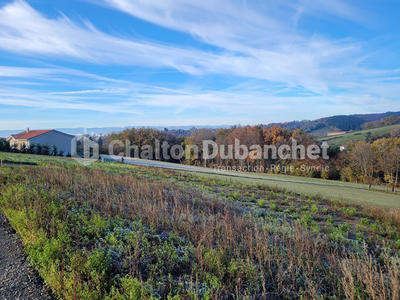 Terrain - 554 m²