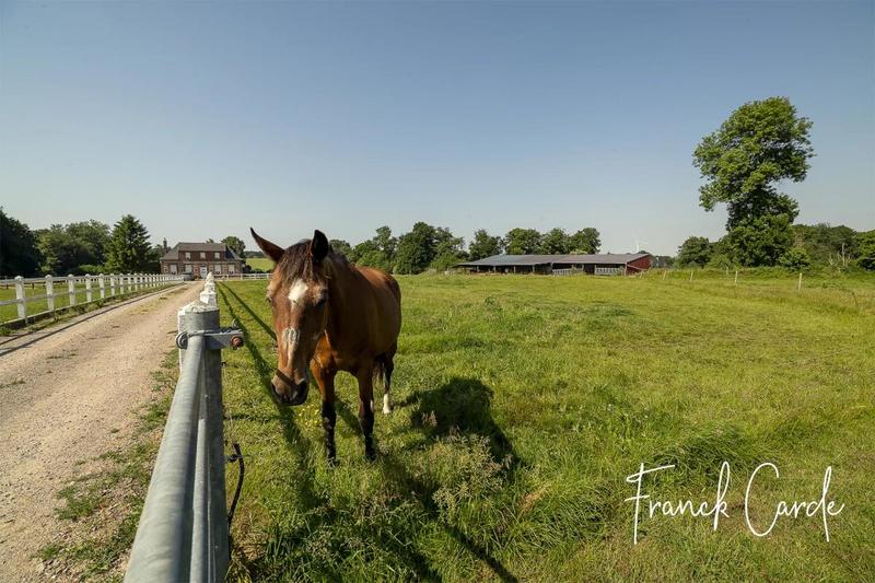 Maison de domaine équestre - 135 m² - 7 pièces