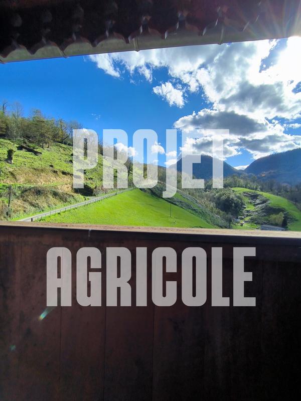 Ferme - 149 m² - 5 pièces