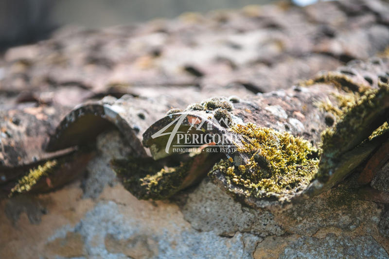 Ferme - 105 m² - 5 pièces