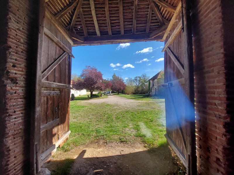 Viager - Maison - 200 m² - 6 pièces